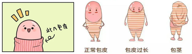 微信图片_20240925152650.png