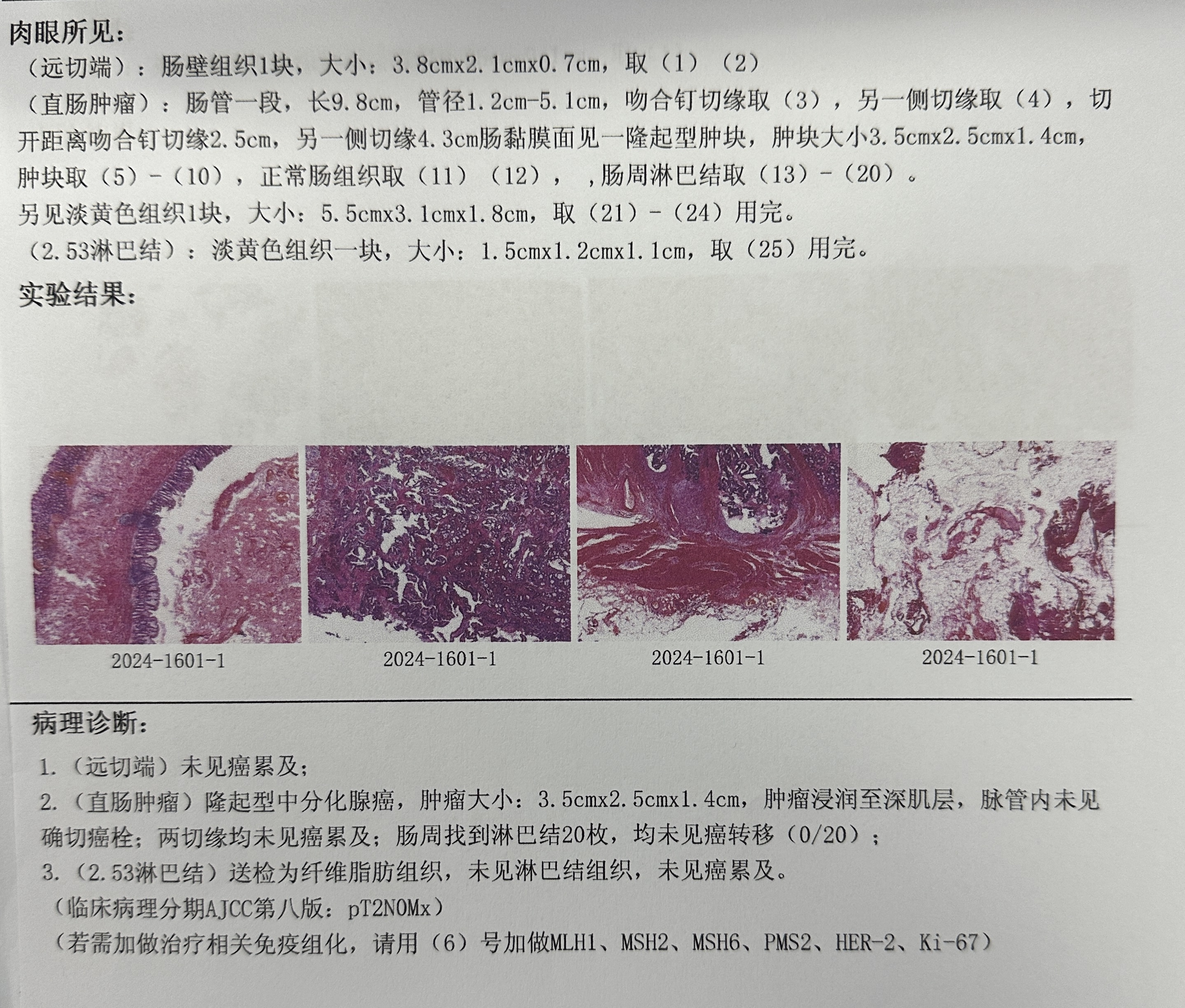 6c61cb9a4e587a55020e74a42e0c2b0a_.jpg